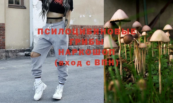 бошки Заводоуковск