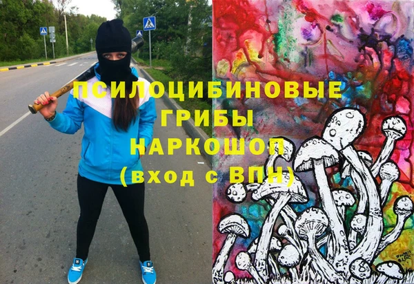 амф Снежинск
