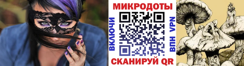 Галлюциногенные грибы прущие грибы  Тайга 